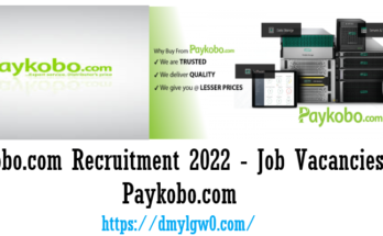 Paykobo.com Recruitment 2022 - Job Vacancies at Paykobo.com