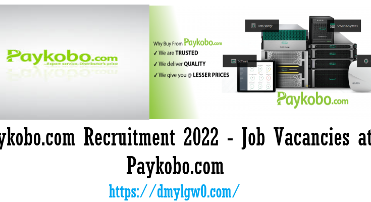 Paykobo.com Recruitment 2022 - Job Vacancies at Paykobo.com